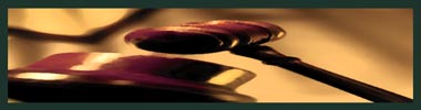 timothy-gardner-guilty-plea-x380 timothy-gardner-guilty-plea-x380