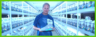 Back-to-the-Future-2-NIKE-Mag-auction-shoes-x380