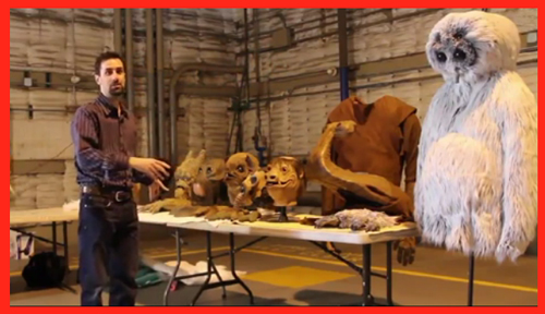 VW-Star-Wars-The-Dog-Strikes-Back-Volkswagen-Commercial-Los-Angeles-Times-Behind-The-Scenes-Tom-Spina-1