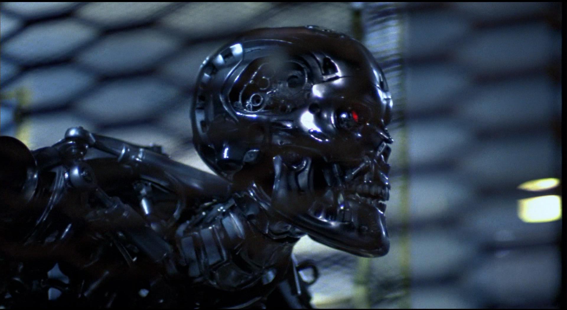 Terminator Endo Skull on , Part 2 (Blu-Ray Stills, The Winson Effect)