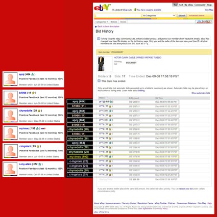 ebay-stoneark-buyer-bidder-network-case-study-examination-fully-annotated-x425