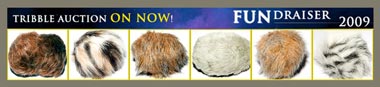 trekcore-fundraiser-2009-tribbles-ebay-auctions-rv2-x380