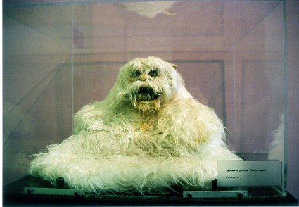 Art-of-Star-Wars-Exhibit-1995-Original-Prop-Blog-Wampa [x425]