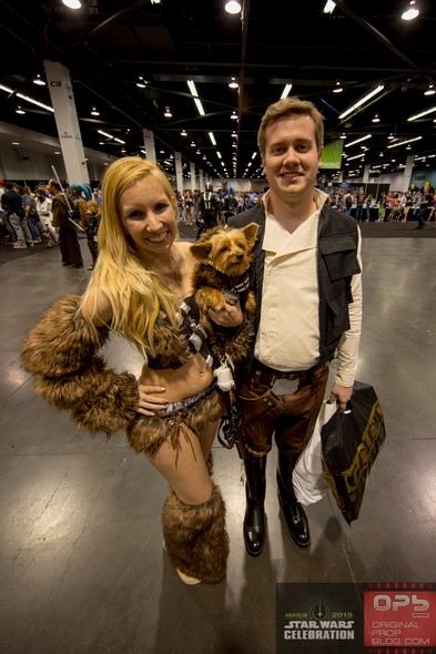 Star-Wars-Celebration-2015-Anaheim-Exhibit-Hall-New-Trailer-The-Force-Awakens-Photos-001-RSJ