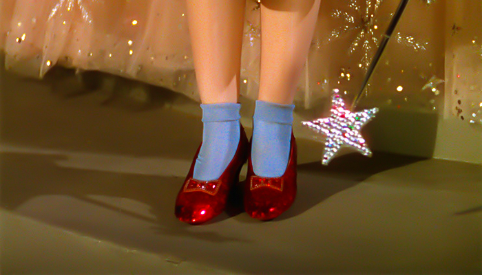 Stolen-Ruby-Slippers-Dorothy-Wizard-of-Oz-1-Million-Dollar-Reward-2015-FI